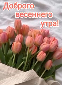 ������� ����� - 18 �����