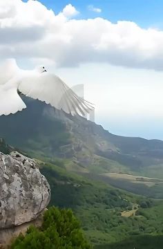 ����: 12 ��� � ������. ���� ����� � ������ ���������� ���������, ���������� ������ �������� ������ ����, ������� ��������� �� �������