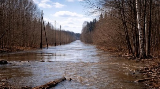 Пять низководных мостов и три участка автомобильных дорог остаются подтопленными в результате паводков в ЛНР