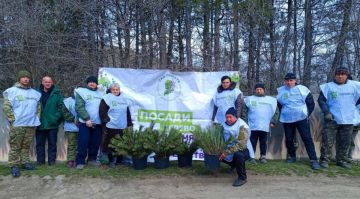 ��������� ��� �������� 20 ����� ����� � ������ ����� ���� ������