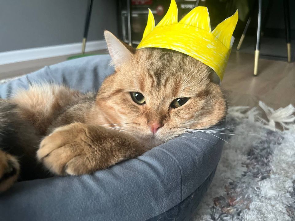 20 ����� �� ���������� ��������� �������� ���������� ����� ������� � ������������