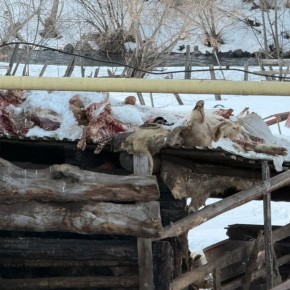 ���������� ������ ������ ��������� �����