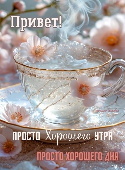 ������ ����, �������!. 19 ����� � ������ ���������� ���� ������-���������� - ���������������� �������� �������������� � ������������ ��������� ��������� ��� ������-�������� ����� ���������� ���������, ������������� ��������...