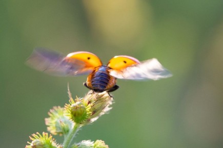 �������� ������������� � ����� ��������� �����