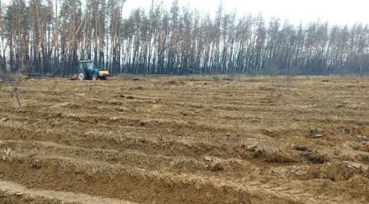 ������� ��������� ���� ������ ������������ � ��� 204,5 �� ������ ����������