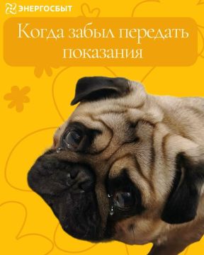 Напоминаем о необходимости передать показания до 25 марта