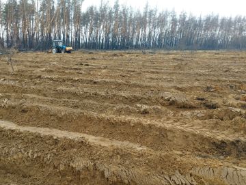 В Республике стартовала весенняя лесокультурная кампания 2026 года