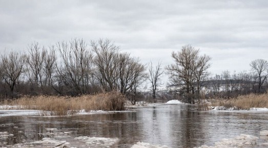 ��� ������� ����� � ������ ����������� ����� �������� ������������� � ���