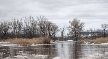 ������ ����������� ����� � ��� ������� ������������� ����� �������� ������������� � ���������� �������� � ���