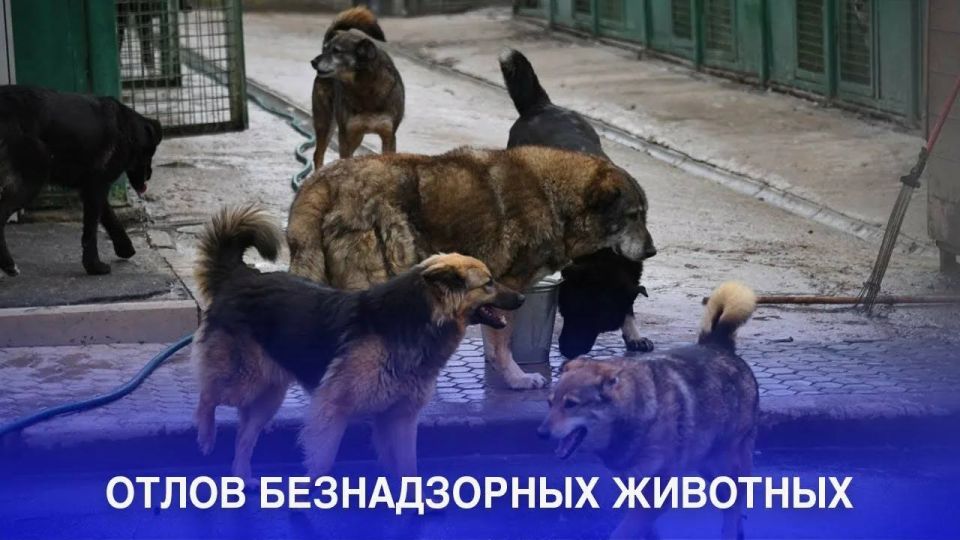 ������ �������: ������� ����� �� �������� �������� �� ��, ��� �� ���������� ������ ������ �������� ����������� �� ������ �������� ��� ����������