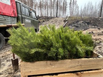 ������� ���� ��� ��������� �� ������