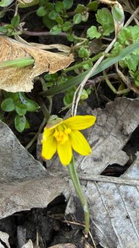 Синоптики прогнозируют 21 марта в ЛНР от нуля градусов ночью до 13 градусов тепла, небольшой дождь и туман — пресс-служба Главного управления МЧС России по ЛНР