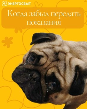 ���������� � ������������� �������� ��������� �� 25 �����