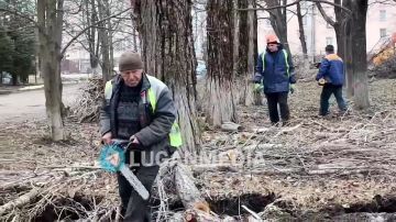 В Брянке начата реконструкция городского парка