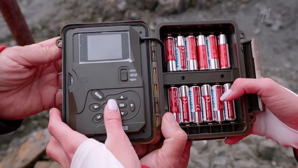 ���������� ��������: ���������� ��������������� ����� �������� ������� ������ ������-��������������� ���������������� �������-��� �� ������ ������