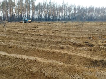 � ��� ���������� �������� �������������� �������� 2026 ����