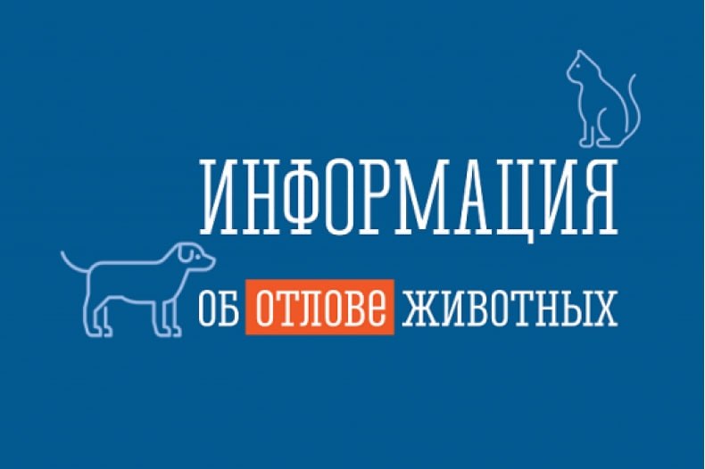 Администрация Свердловского муниципального округа осуществляет организацию работы по обращению с животными без владельцев