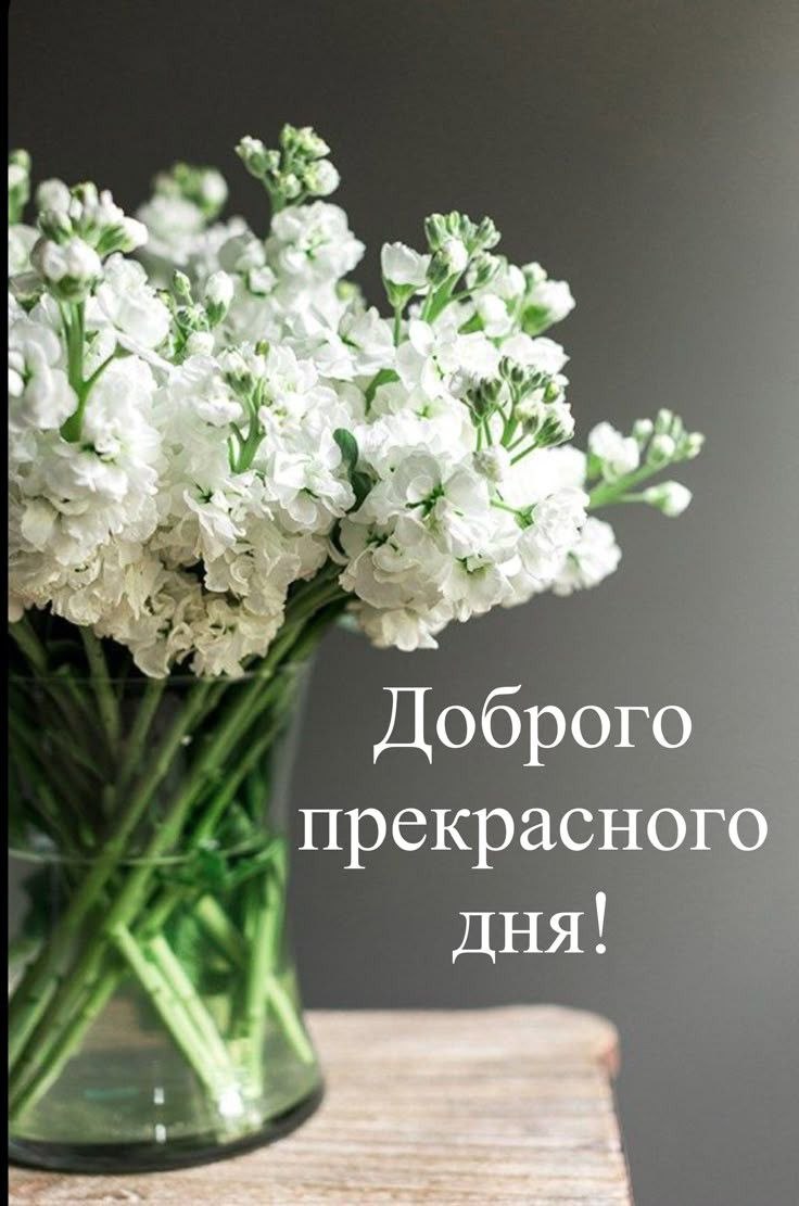 С добрым утром!. Сегодня 22 марта, воскресенье! Каким бы ни было утро, оно - всегда подарок! Немного о погоде: