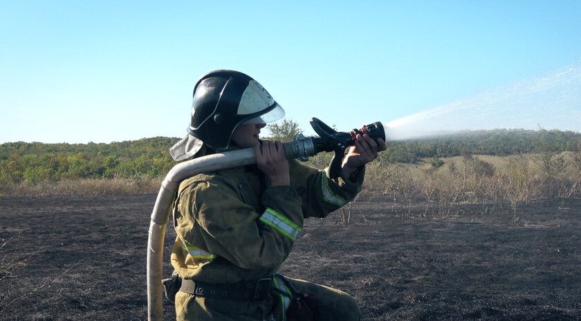 Пожары за выходные уничтожили около 13 га сухостоя и камыша в ЛНР