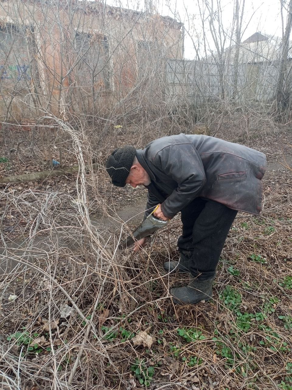 Ежедневные работы по благоустройству в парке им. Молодой гвардии