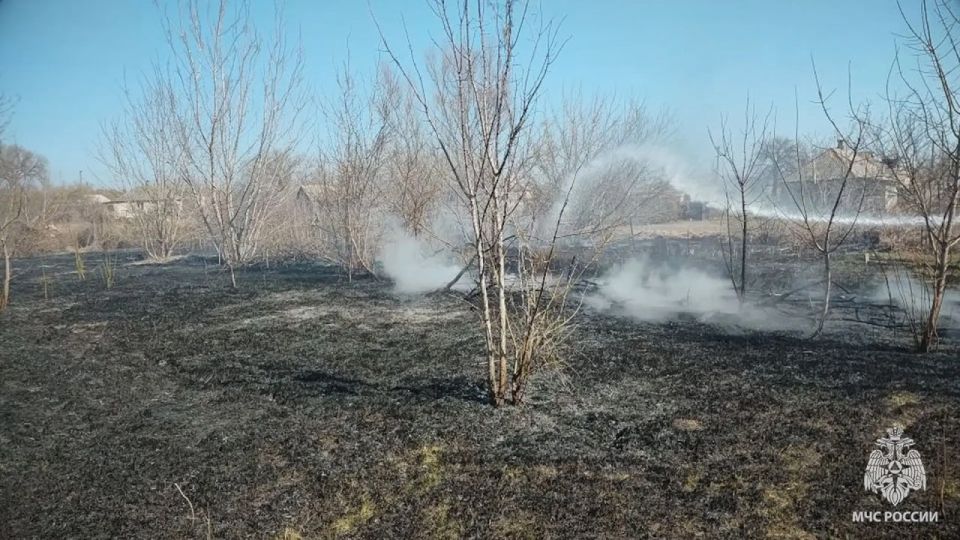 �� �������� � ��� ������������� 22 ������, 14 �� ������� � �����������
