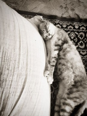 24 ����� �� ���������� ��������� �������� ���������� ����� ������� � ������������