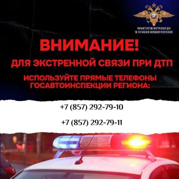 В ЛНР назвали прямые телефоны Госавтоинспекции для вызова при ДТП