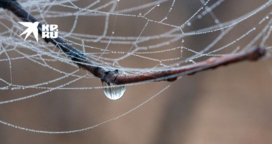 ������ � ��� �� 24 �����. �� ������� � ��� ��������� �������� ������