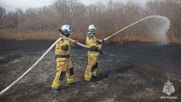 �� ����� � ��� ������������� 21 �����, 18 �� ��� � �����������