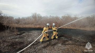 � ���������� ������������ ������ � ������������ ��������