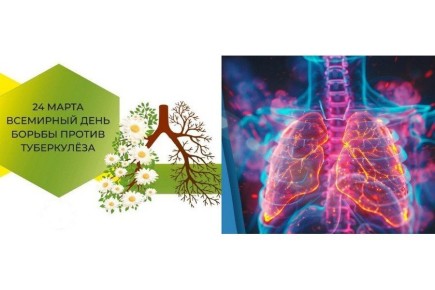 24 ����� � ��������� ���� ������ � ������������