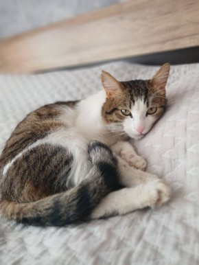 26 марта на территории Луганской Народной Республики прогнозируется переменная облачность