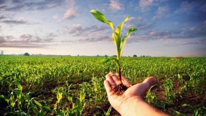 ������ �������: �������� ��������� �������������� �������������� ������: ����� � �����������