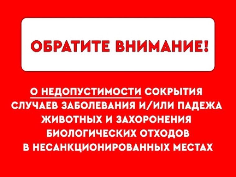������� ��� ���������� �������� � �������������� �������� ������� ����������� �/��� ������ �������� � ����������� ������������� ������� � ������������������� ������!