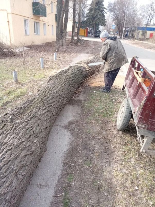 �������� ���������: � ������ ��� �� ����������� ������������ ������� � ����������� ����������� ����������� ���������, ��� "���������-������������" ����� �������� ������ �� ����� ����������� � ��������� ��������