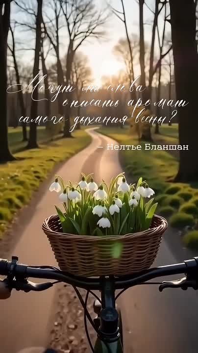 С добрым мартовским утром, жители Новоайдарского округа! Отличного всем дня!