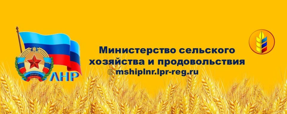 ������������ ��������� ��������� � �������������� ��������� �������� ���������� (����� - ����� ���) ����������� ��� � ���, ��� ������������� ������������ �������� � ���� �������������� 22-23 ������ 2026 ���� �������� XX...