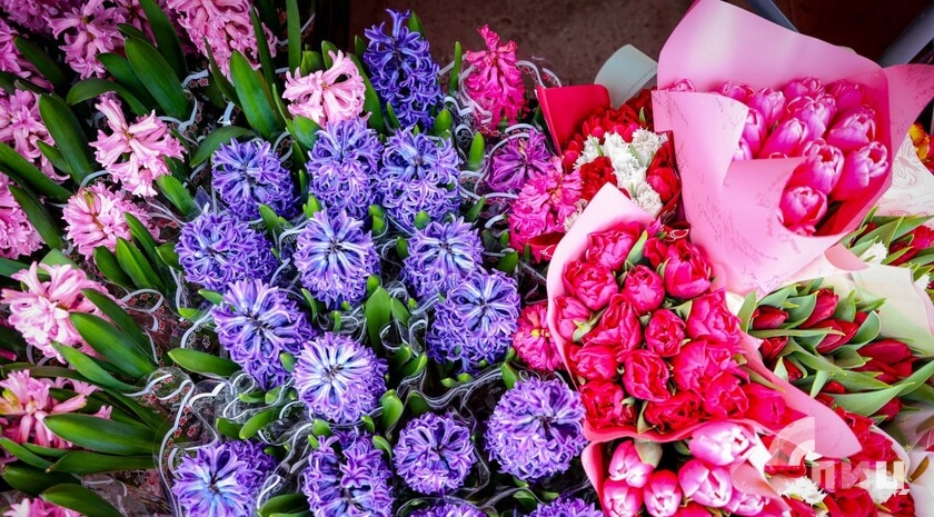 Синоптики прогнозируют 27 марта в ЛНР до 18 градусов тепла, местами дождь, туман