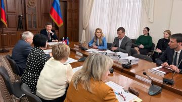 Сенатор Дарья Лантратова отчиталась перед Правительством ЛНР о работе за 2025 год