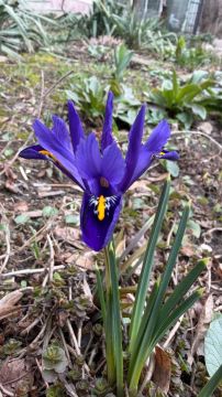 Синоптики прогнозируют 28 марта в ЛНР от плюс 4 градусов ночью до 20 градусов тепла днем, существенных осадков не ожидается, ночью и утром местами туман — пресс-служба Главного управления МЧС России по ЛНР