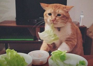 ���������� ������� ����� �������� ��������, � �������� ������