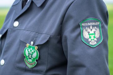 ���������������� � ��� ��������� �������� �� ��������������� �����