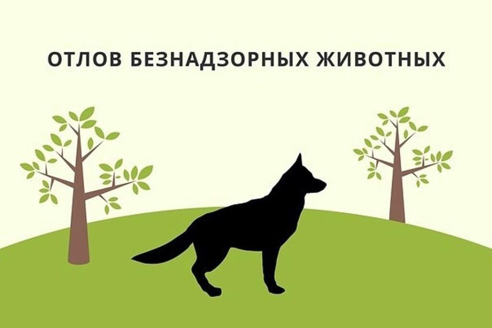 ��������! � ����������� ����� ����������� ����� �������� ��� ����������