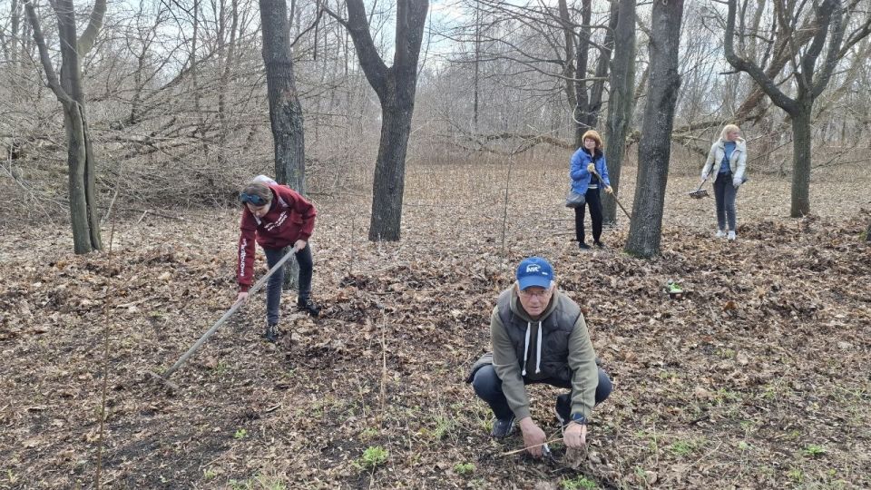 ���� �������-�������: ������� ������ ������� � ������������� ����������, �������������� ������ ���������� ������ ������� ����������