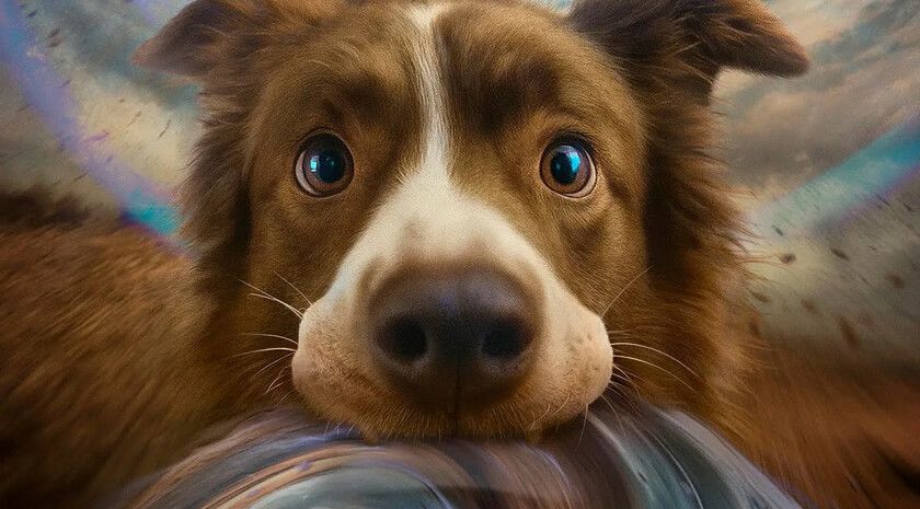 ��������� �����: ��� � ����� ���������� � �������� �� �������� 28�29 �����