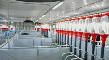 «Агросфера» планирует создать в ЛНР еще около двух тыс. рабочих мест