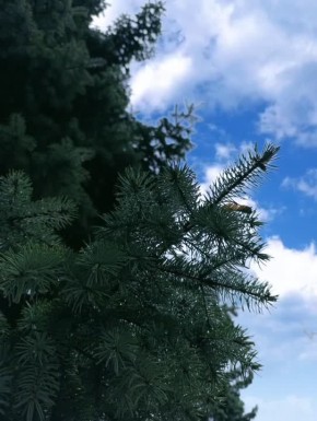 � ������ �����!. ����� ��� �������� � ����-�� ���������� � �����������