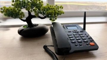 ������������� ������� � ��� ������������: ������ ���� � ������ ����