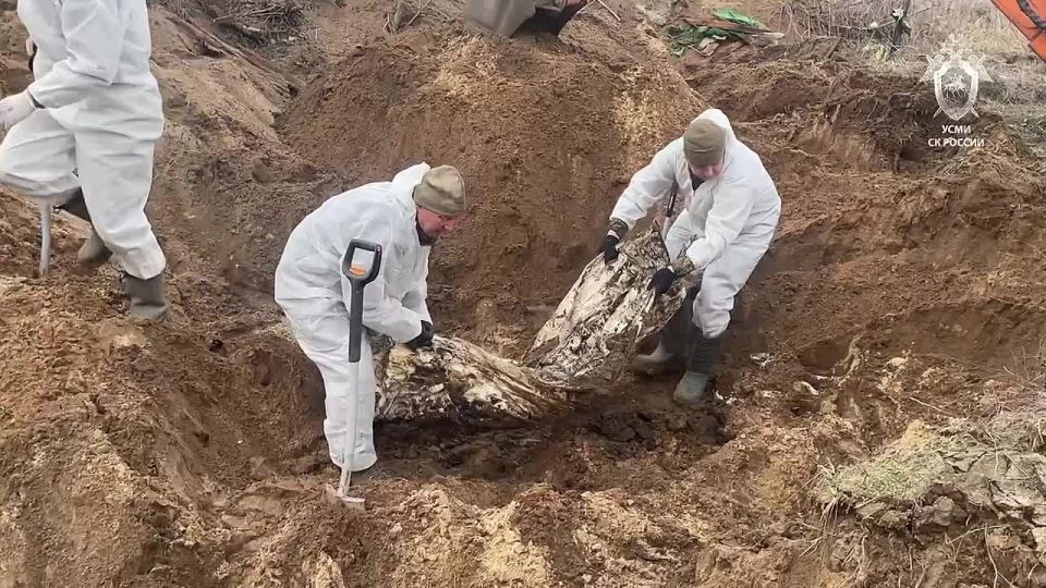 ���������� ������������� �������� ������ �������� 12 ��� ������ �������, �������� � ���������� ���������� ��������, � ����� ��������� ����������� � ������� ������ ���� ��� ��������������