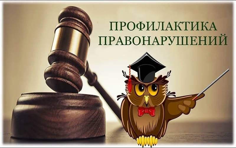 Профилактика преступлений в сфере незаконного оборота наркотиков и ответственность за незаконный оборот наркотических средств